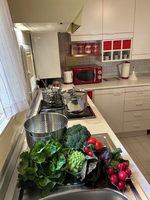 Kühlschrank, Mikrowelle, Herdplatte, Wasserkocher mit Kaffee-/Teezubehör