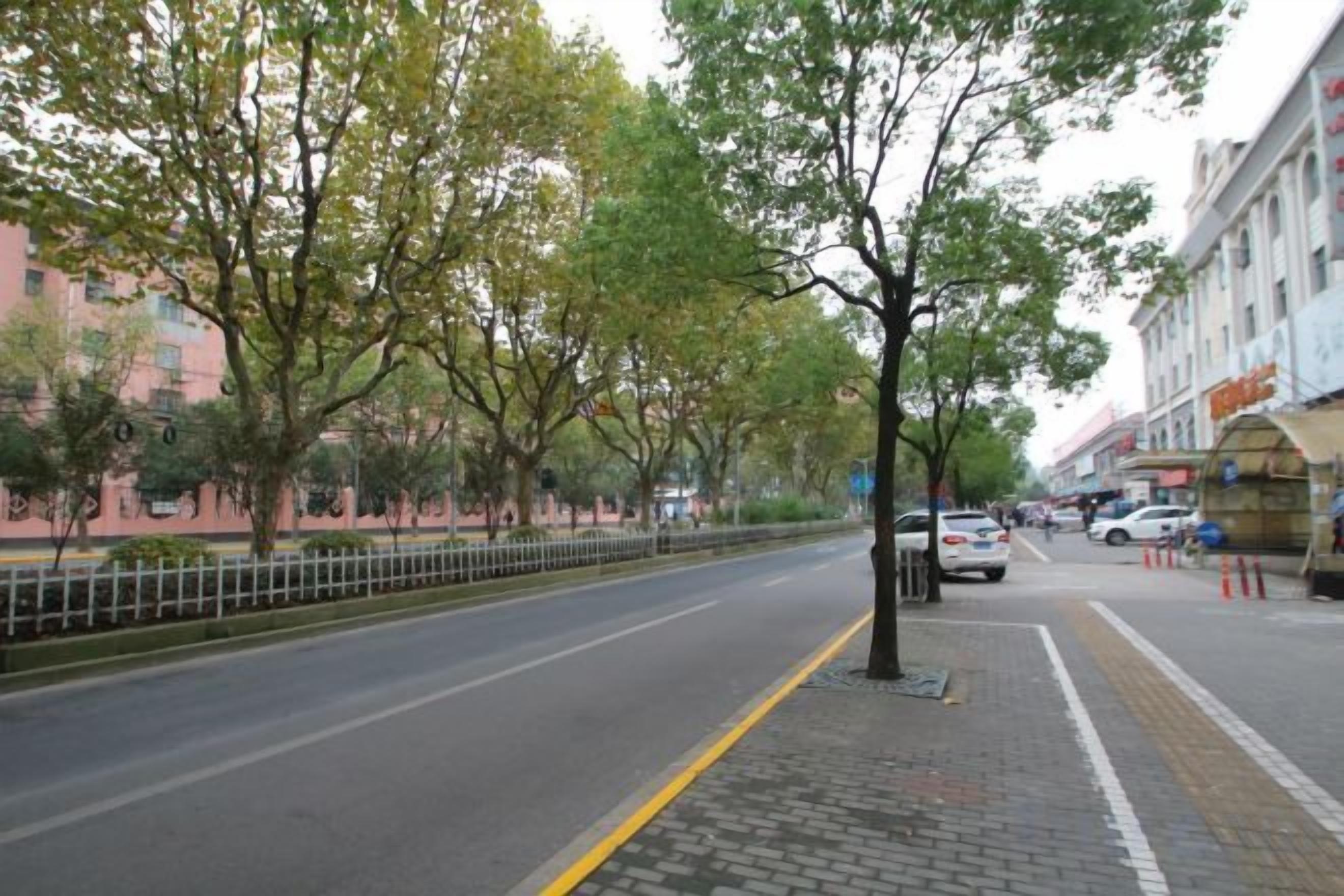 A tree-lined street with buildings on one side and a sidewalk on the other.