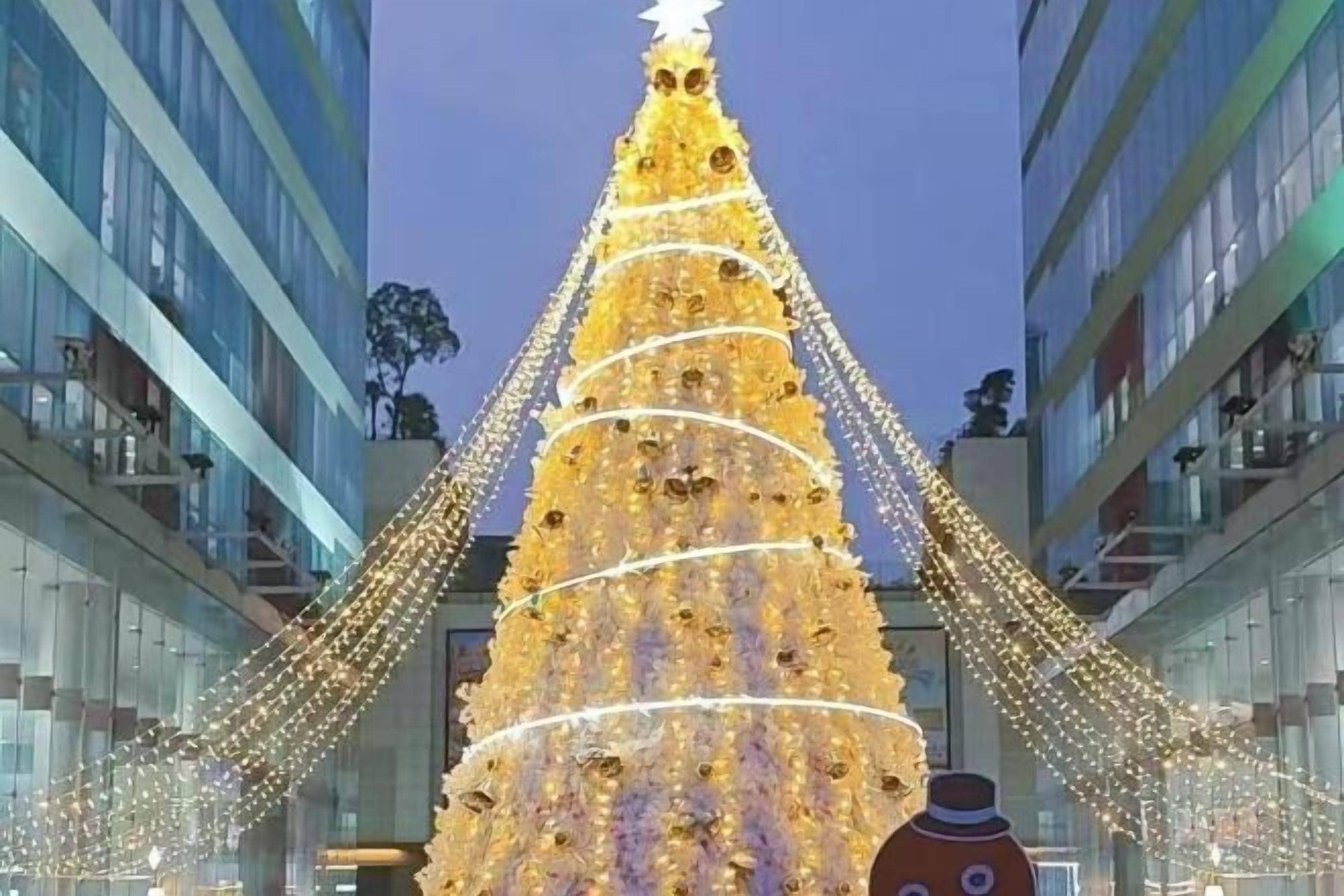 A large, illuminated Christmas tree in an urban setting with modern buildings in the background.