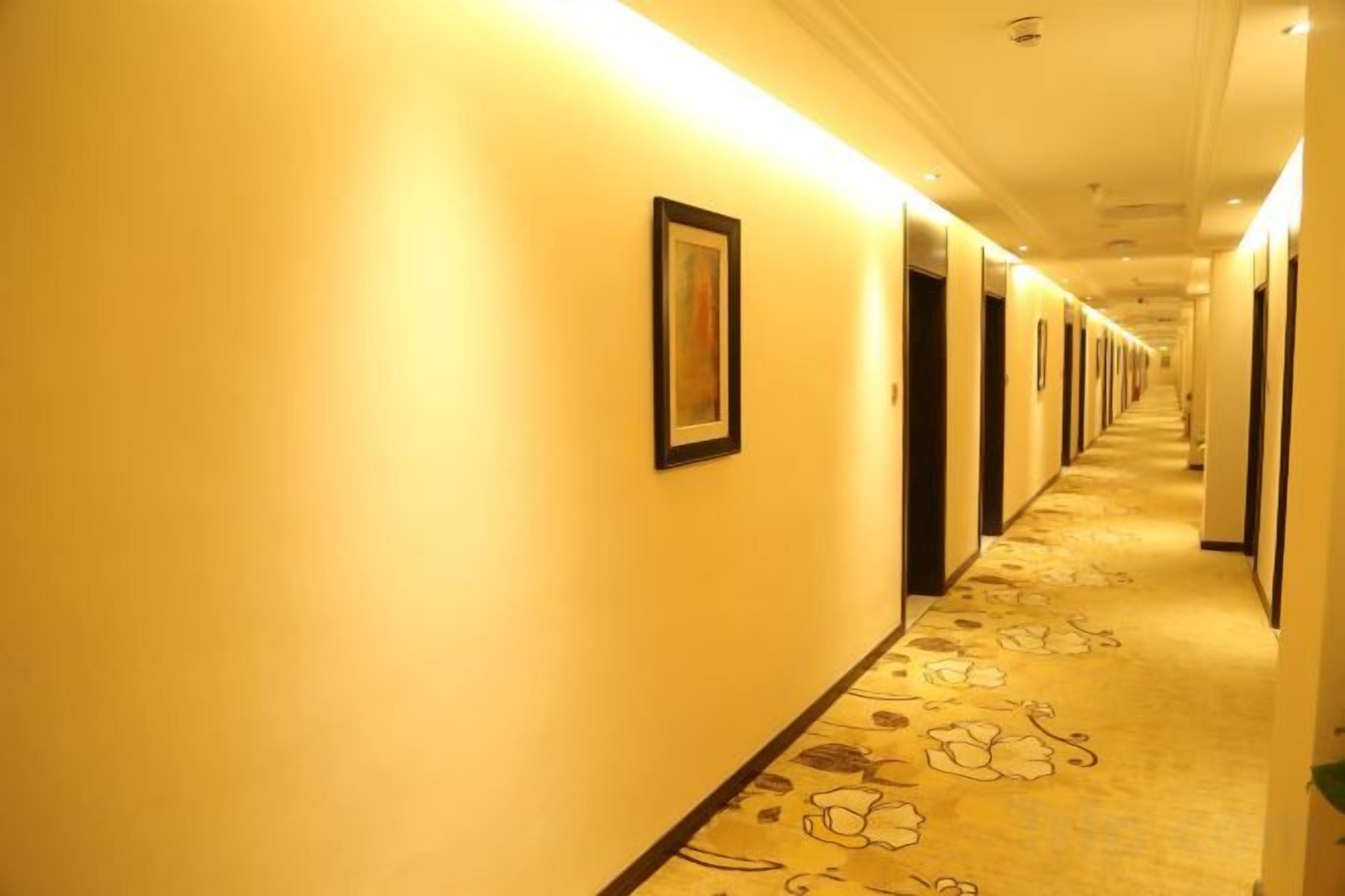 A hotel hallway with doors on both sides, a carpet with a floral pattern, and a framed picture on the wall.