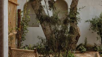 A wicker chair and a small round table in a courtyard with a tree and a white wall.