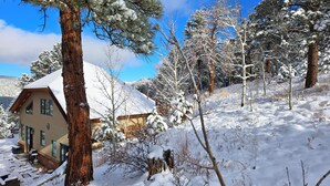 A snow-covered lodge with a wooden exterior and a sloped roof, surrounded by snow-laden trees and a clear blue sky.