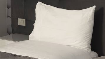 Chambre Double ou avec lits jumeaux, non-fumeur, salle de bains privée