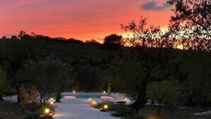 Ein Weg führt zu einem Pool mit Beleuchtung an den Seiten, umgeben von Bäumen und einem Abendhimmel.