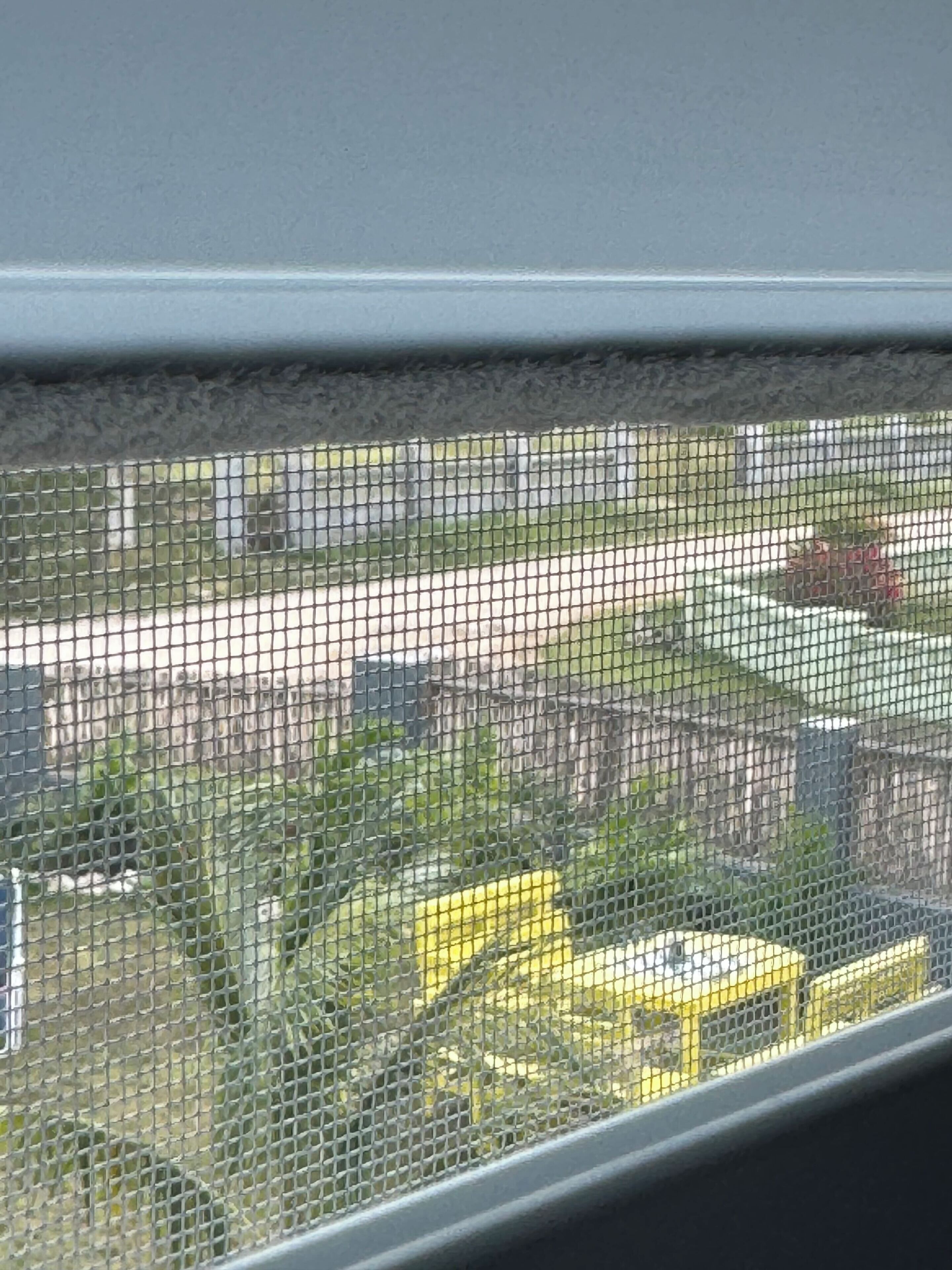 Landuitzicht vanuit accommodatie