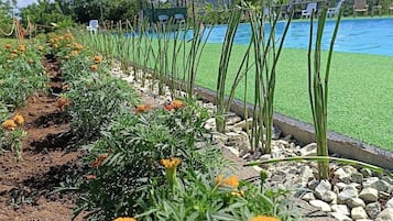 Pemandangan sekitar dari properti