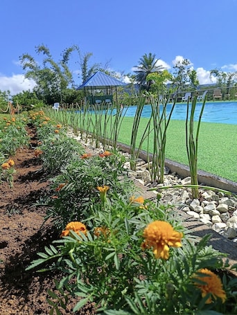 Land view from property