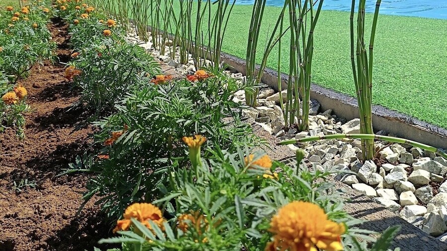 Helens Mountain Resort