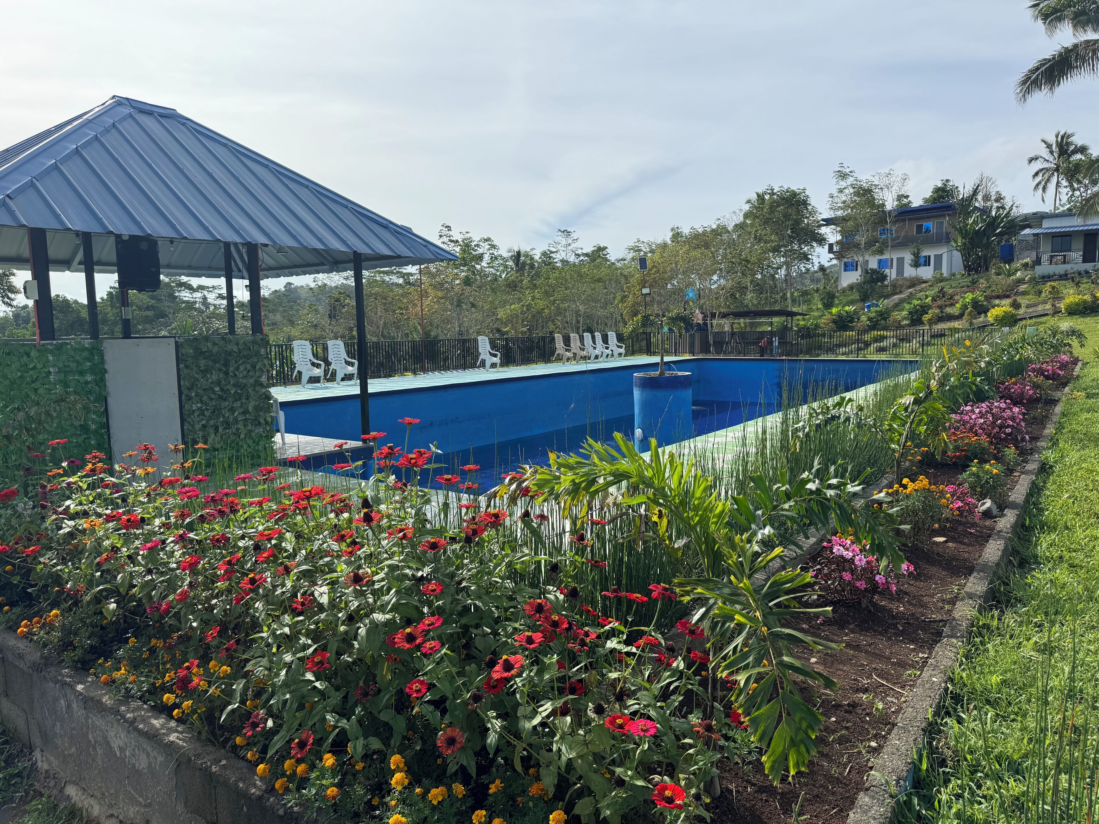 Swim-up bar
