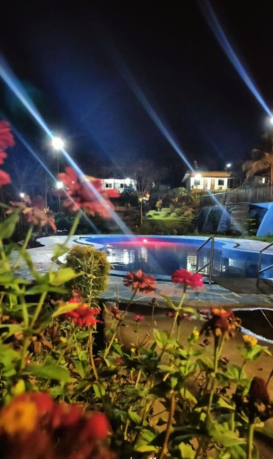 A nighttime view of a swimming pool area with a fountain, surrounded by greenery and illuminated by streetlights.