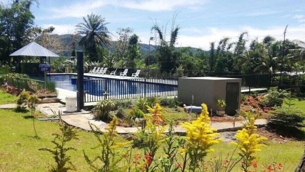 A pool area with lounge chairs, a covered seating area, and a fenced garden with various plants. - Helens Mountain Resort (Arakan)
