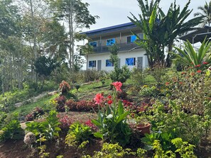 Blick auf die Umgebung