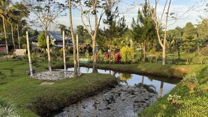 A serene garden with a small pond, surrounded by various plants and trees. - Helens Mountain Resort (Arakan)
