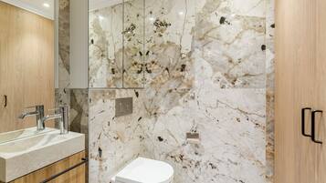 Assecador de cabells, tovalloles, sabó i xampú