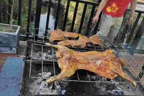 A large, whole roasted chicken on a grill outdoors.