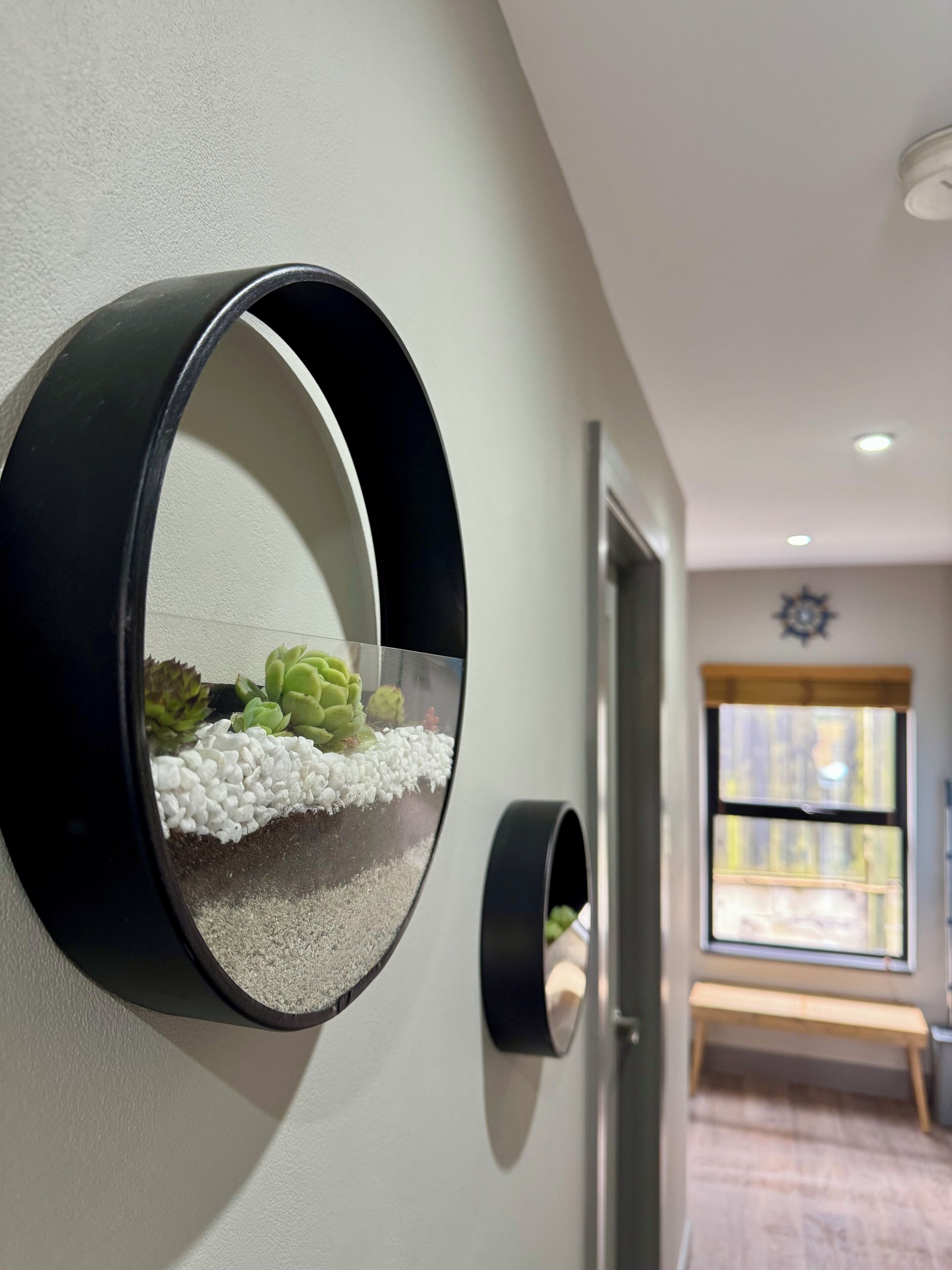 A wall-mounted mirror with a decorative succulent arrangement.