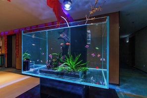 A large aquarium with various fish and aquatic plants, located in a room with a modern design.