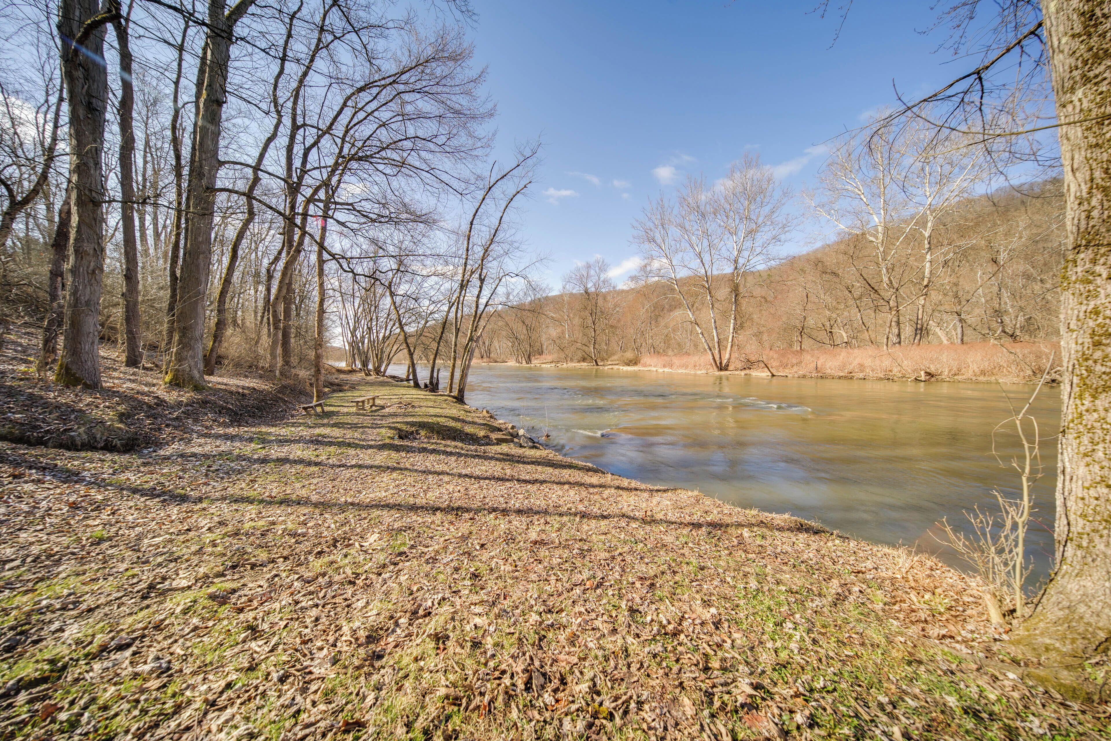A riverbank with bare trees and a clear sky.