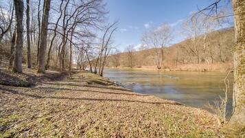 A riverbank with bare trees and a clear sky.