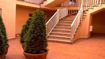 Àrea exterior de l'allotjament