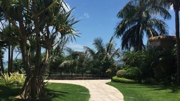 A paved pathway leading through a well-maintained garden with palm trees and a clear sky.