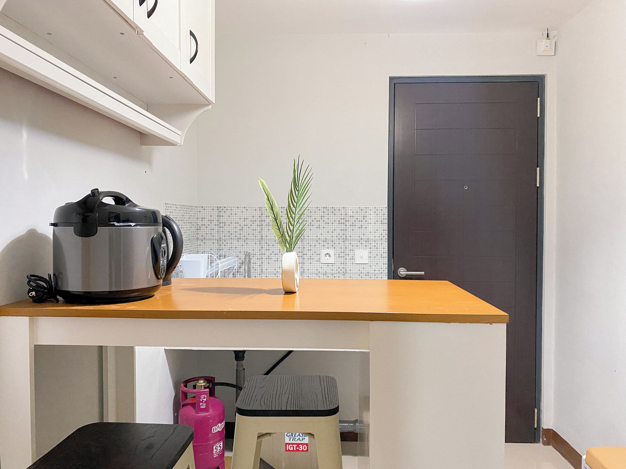A kitchen with a countertop, a potted plant, a gas cylinder, and a trash bin.