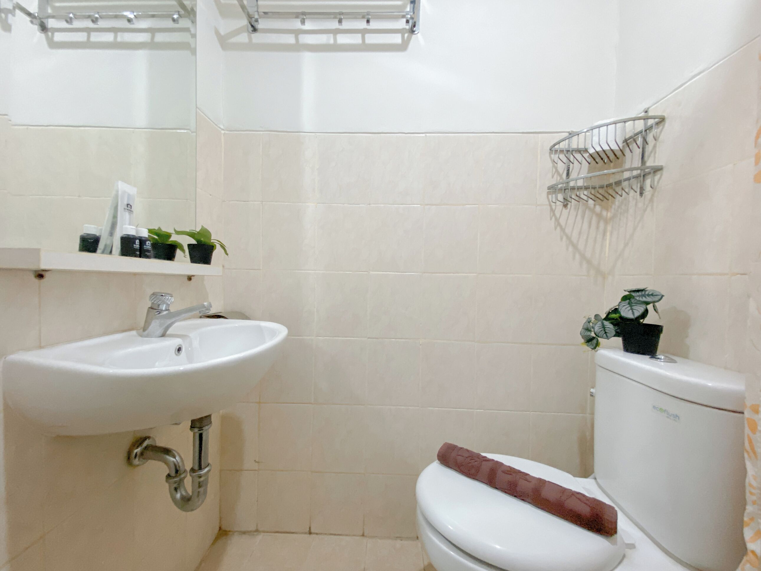 A bathroom with a white sink, a toilet, and a shelf with toiletries and plants.