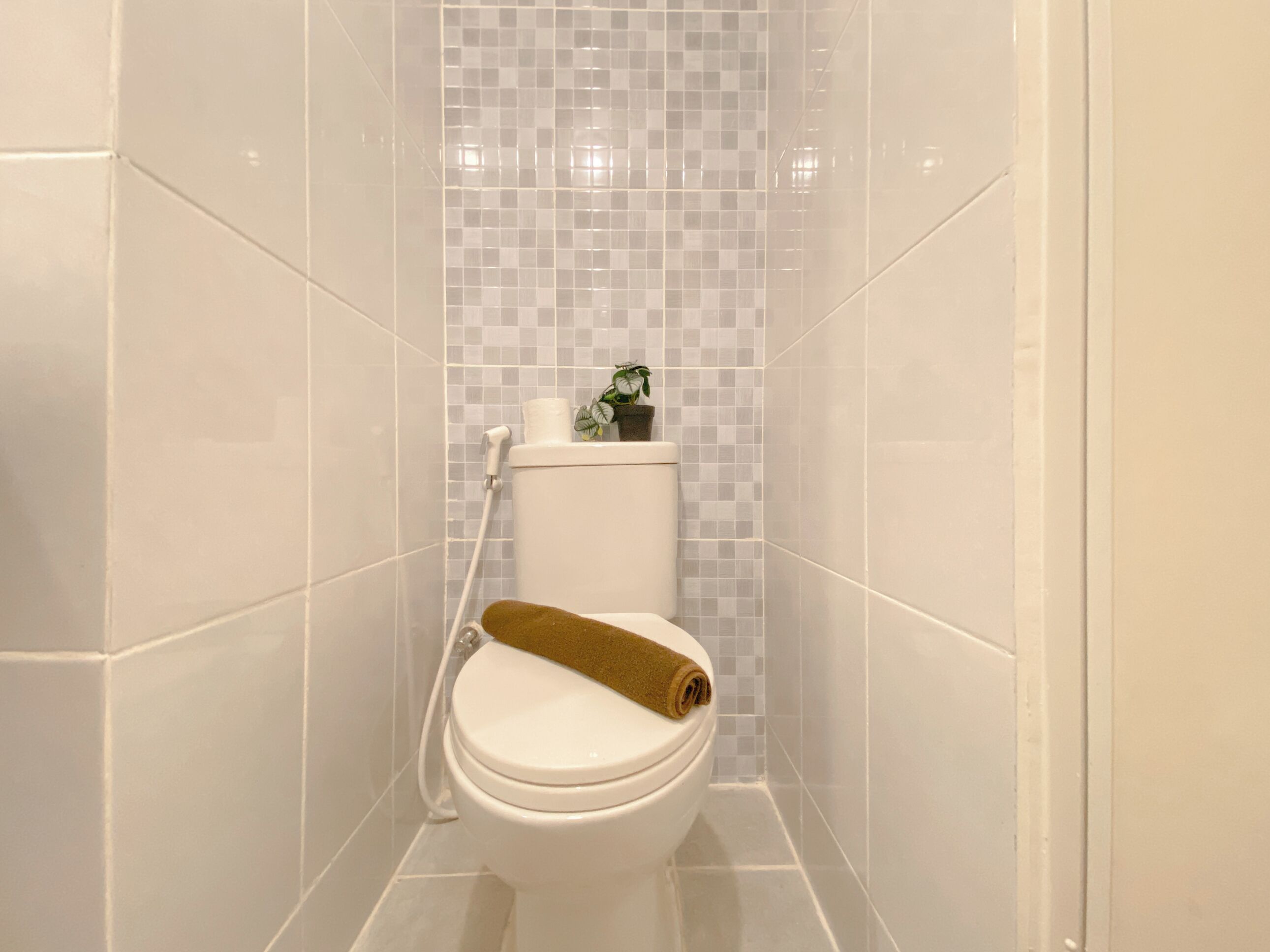 Une salle de bain avec des toilettes blanches, un rouleau de papier toilette et une petite plante en pot posée sur le réservoir des toilettes.