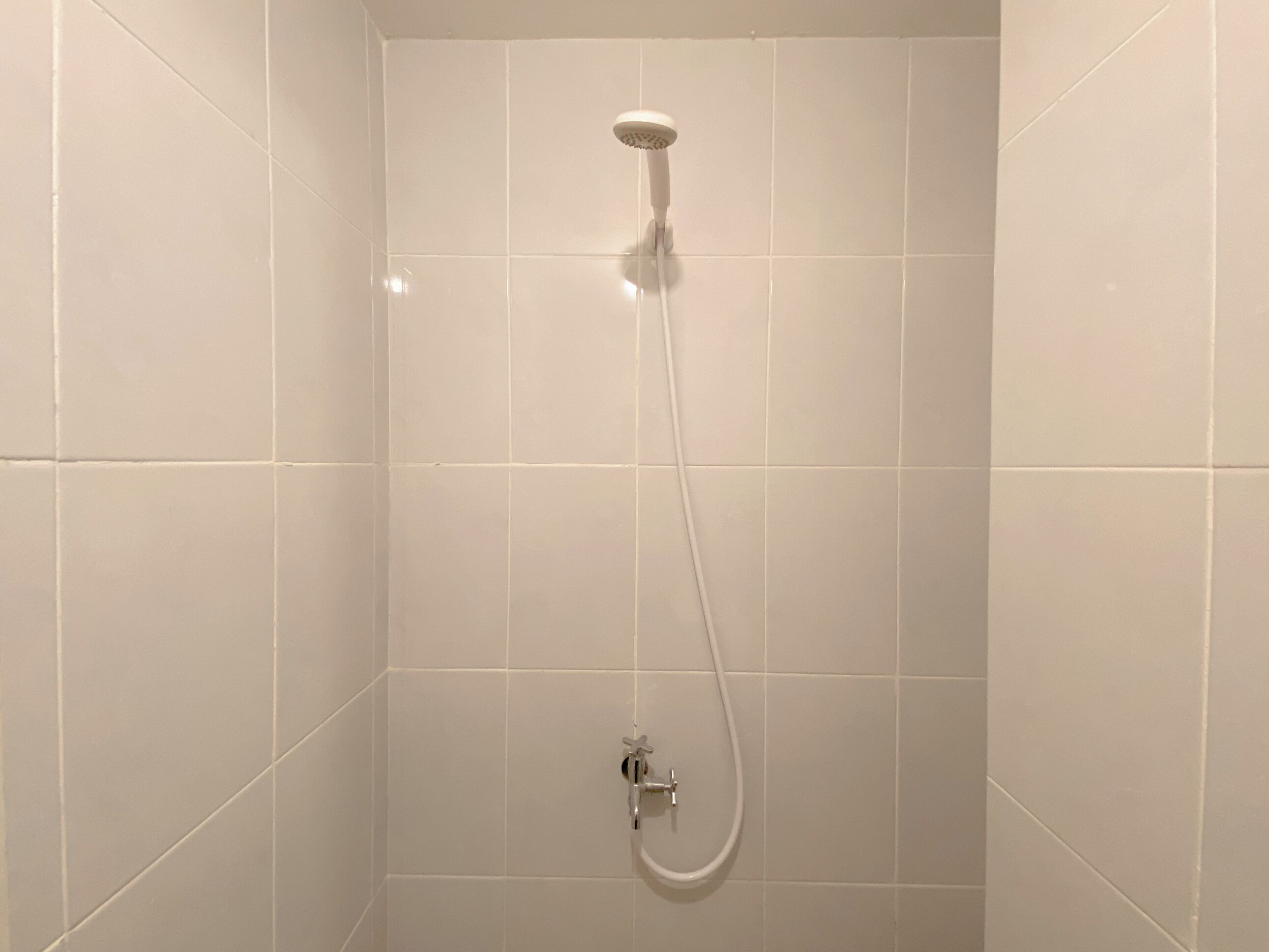 Une douche équipée d’un pommeau de douche à main et d’un robinet de contrôle fixé au mur.