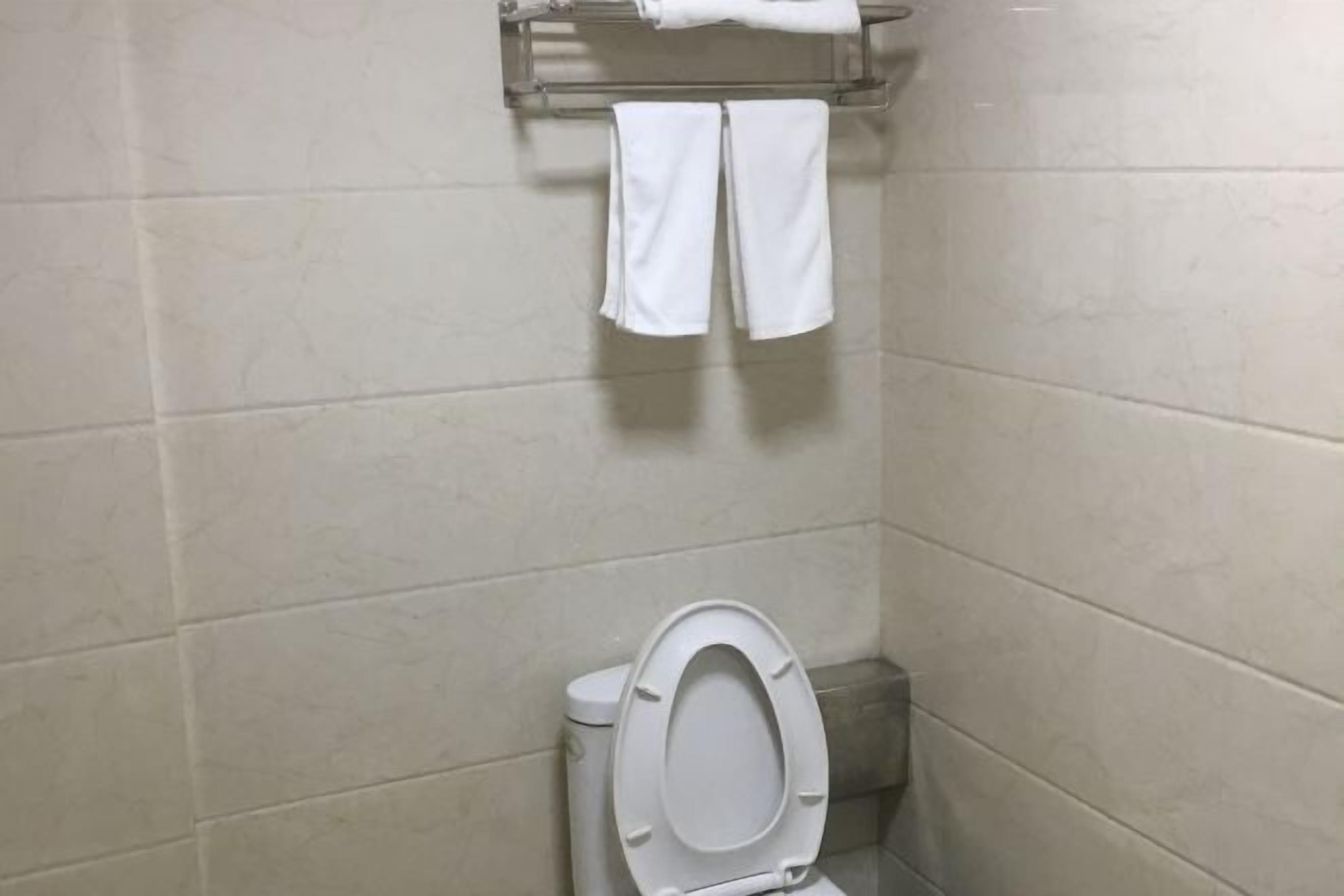 A bathroom with a toilet, a towel rack with two towels, and tiled walls.
