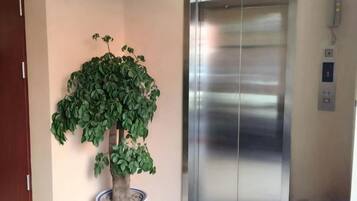 A potted plant next to an elevator.