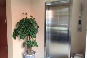 Una planta en maceta junto a un ascensor.