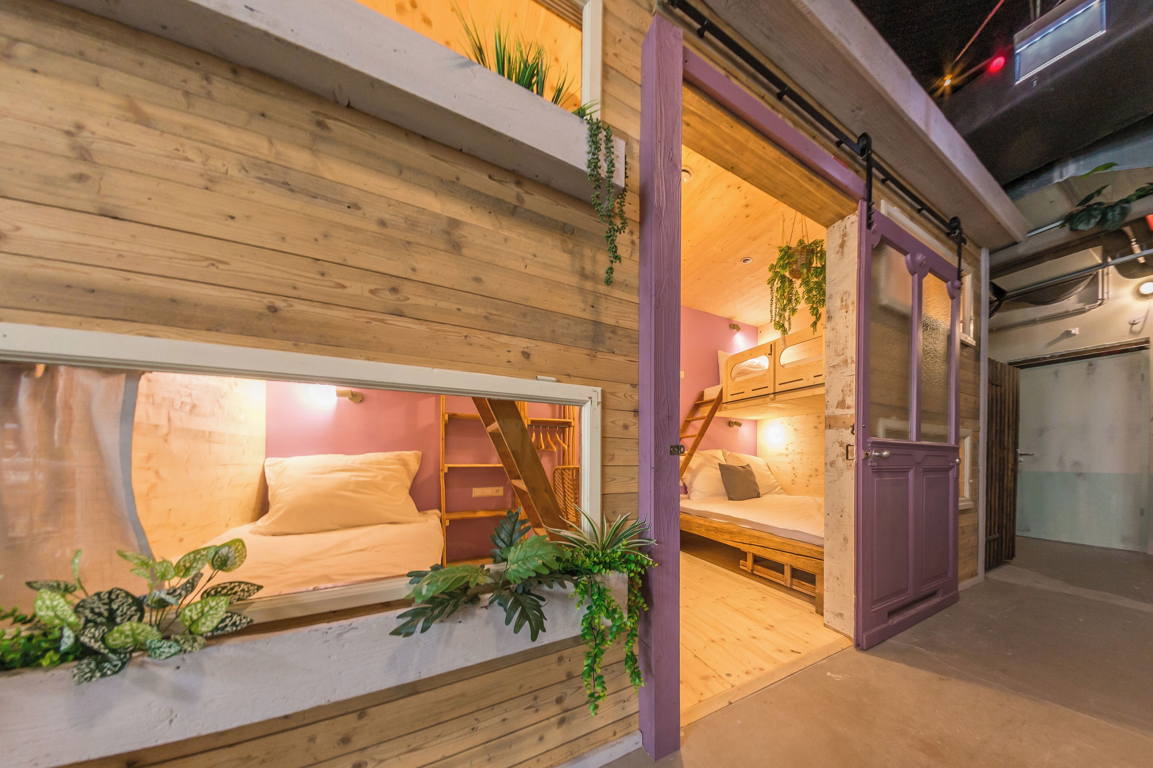 Un intérieur chaleureux avec un mur en bois, une fenêtre donnant sur un lit et une porte violette.