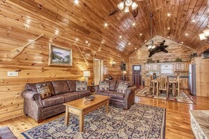 TV, fireplace, DVD player, books