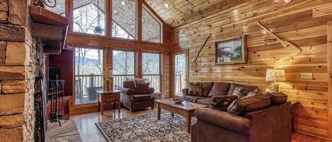 TV, fireplace, DVD player, books