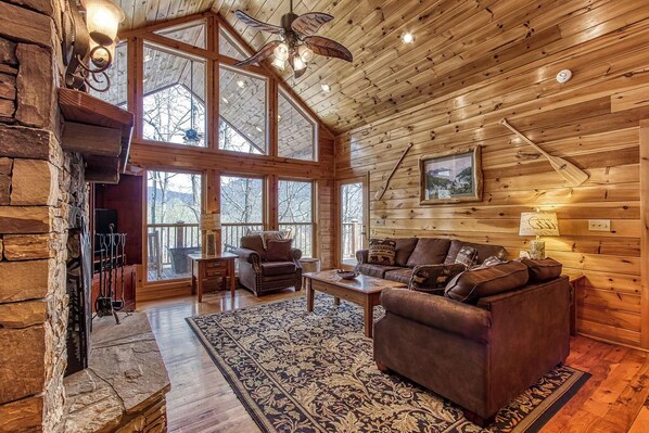 TV, fireplace, DVD player, books