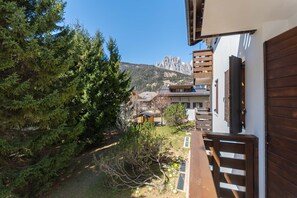 Property grounds - Chalet Baranci (Pozza di Fassa)