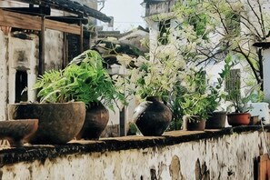 A row of potted plants on a balcony with a rustic wall and traditional architecture in the background. - Xiaotaoyuan Inn (Wuyuan)