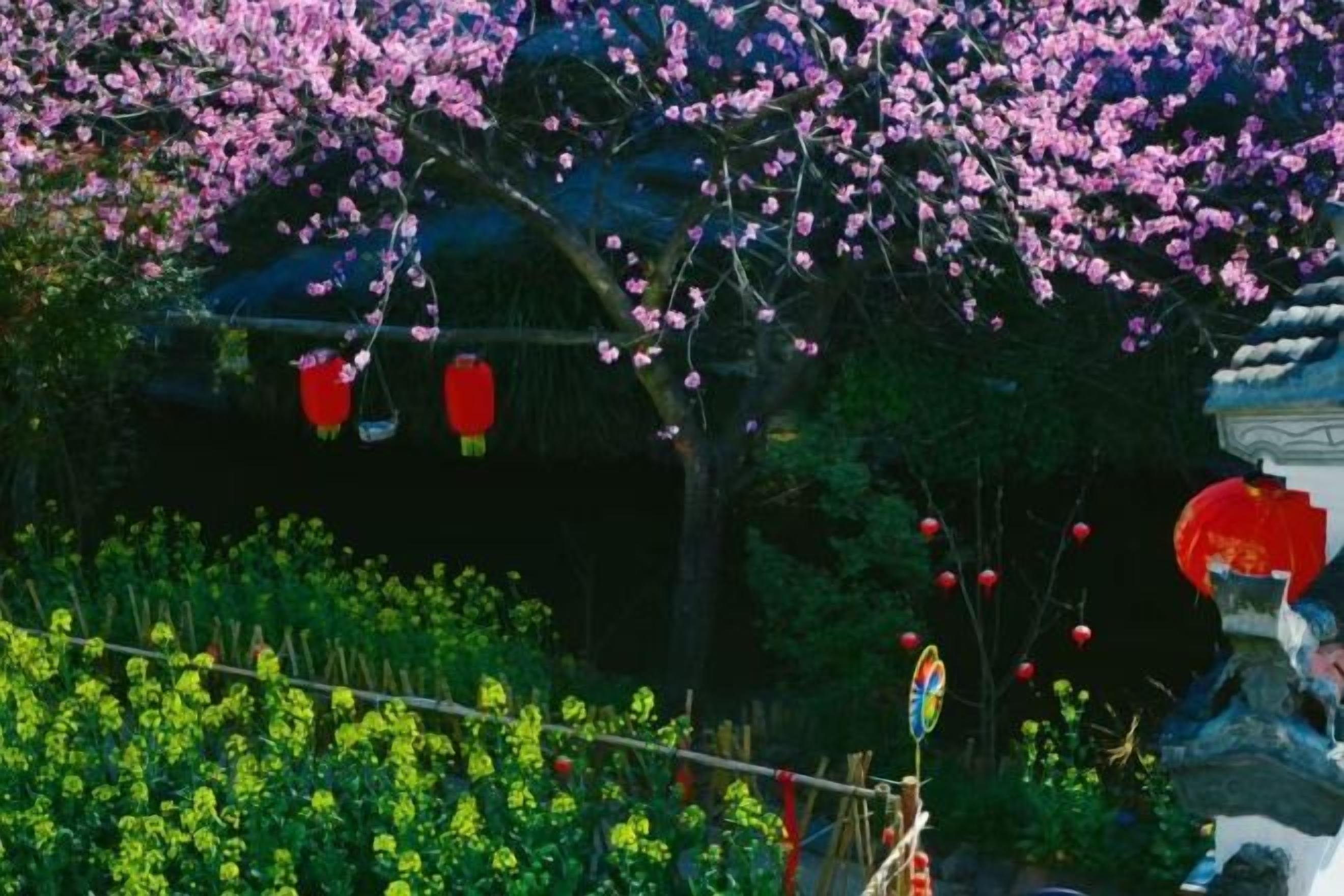 A garden with flowering trees, a traditional building, and red lanterns.