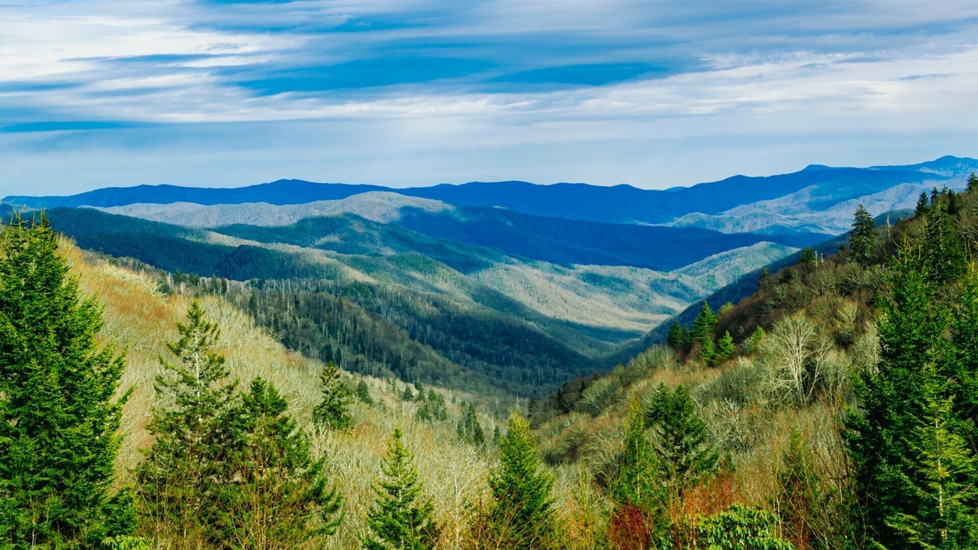A mountainous landscape with dense forests and a clear sky.
