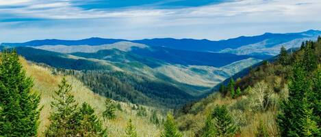 A mountainous landscape with dense forests and a clear sky.