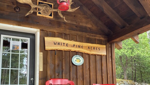A wooden cabin with a sign reading "WHITE PINE ACRES" and two red rocking chairs on the porch.