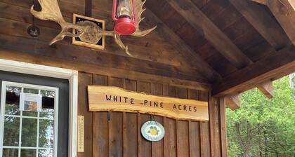 White Pine Acres Cozy couples cabin in lanark private on a large pond & pines