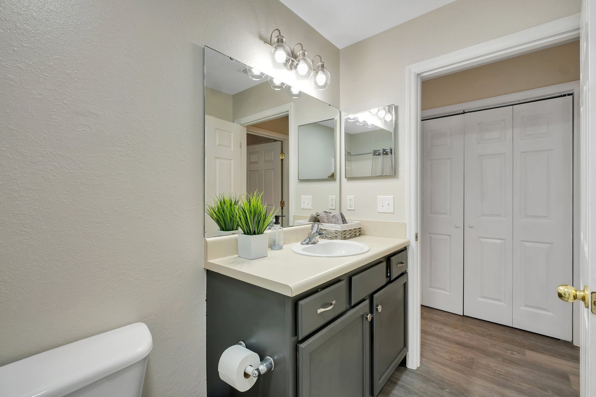 A bathroom with a white toilet, a sink with a mirror above it, and a vanity with cabinets. There are lights above the mirror and a plant on the counter.