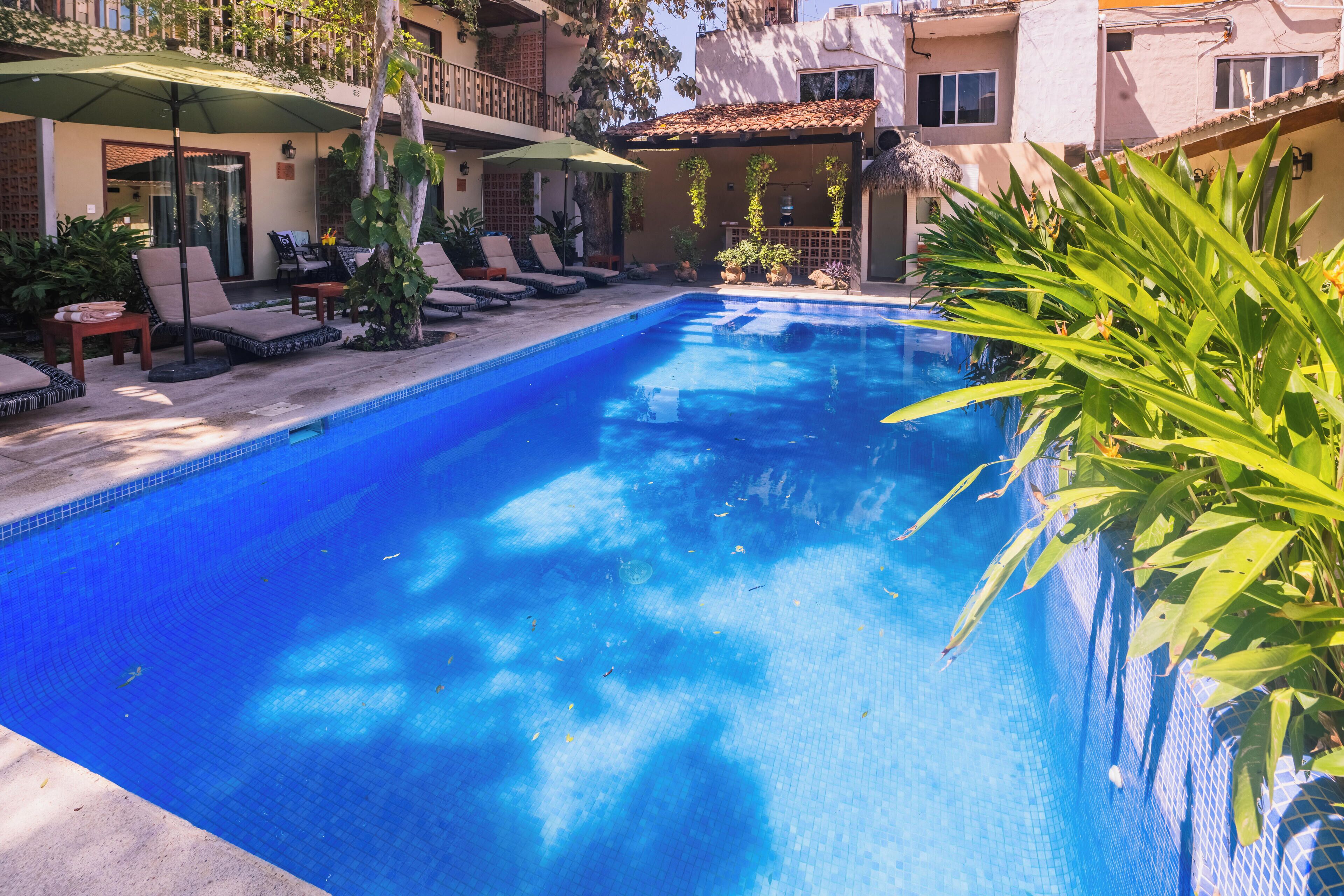 Piscina com espreguiçadeiras e guarda-sóis, rodeada por vegetação e edifícios.
