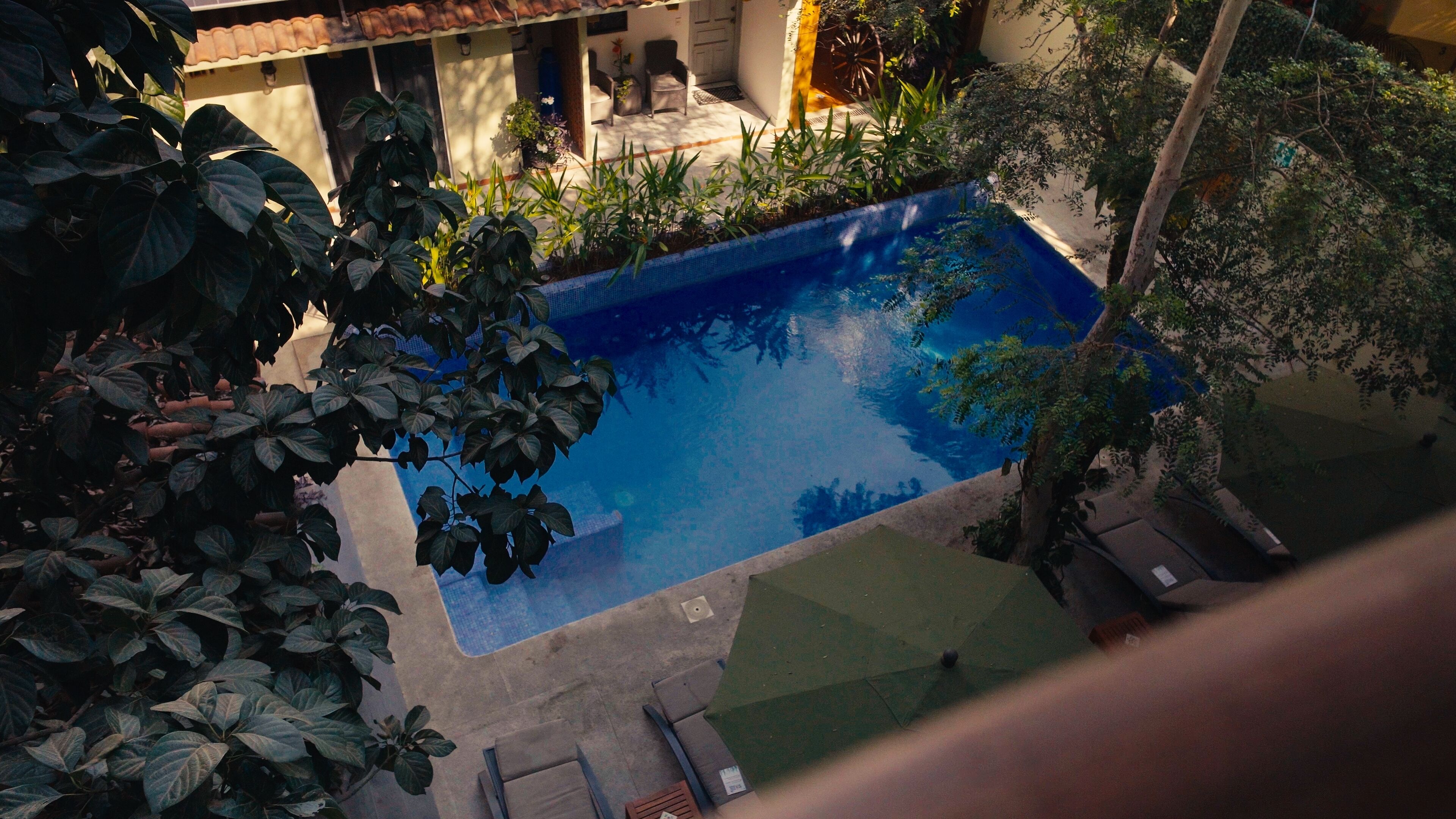 Una piscina en la azotea rodeada de abundante vegetación, con vistas al exterior del edificio.