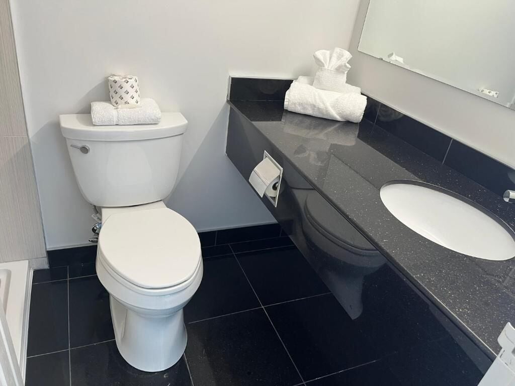 Deluxe-huone, kaupunkinäköala | Kylpyhuone | Suihku, ilmaiset hygieniatuotteet, hiustenkuivaaja, pyyhkeet