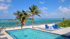 Une piscine à l’eau d’un bleu cristallin, entourée de palmiers et offrant une vue sur l’océan.