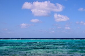 En la playa, camastros y toallas de playa 