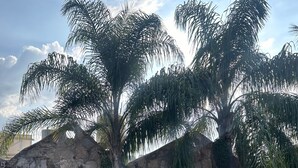 Unclassified image, 5 of 8, button - Hotel Monte Agave (Tequila)